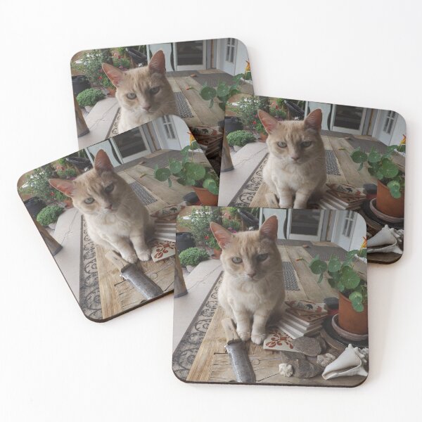 Item preview, Tiger Poses for His Portrait, Santa Fe, New Mexico designed and sold by lenspiro.