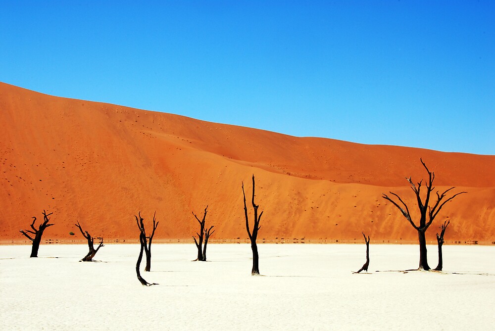 Risultati immagini per Dead Vlei – Sossusvlei, Namibia