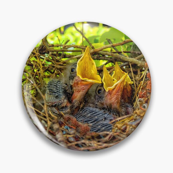 Item preview, Baby Mockingbirds designed and sold by Kay Brewer.