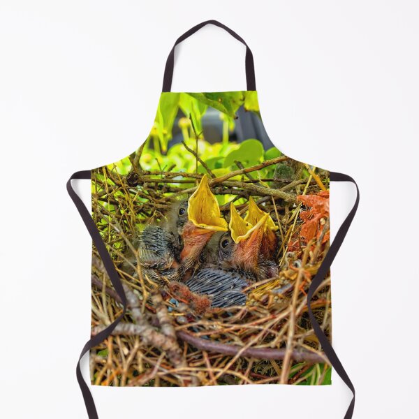 Item preview, Baby Mockingbirds designed and sold by Kay Brewer.