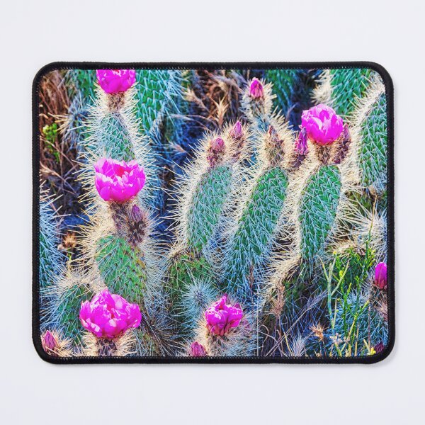 Item preview, Happy spring desert cactus flowers, Arizona designed and sold by Travelways.