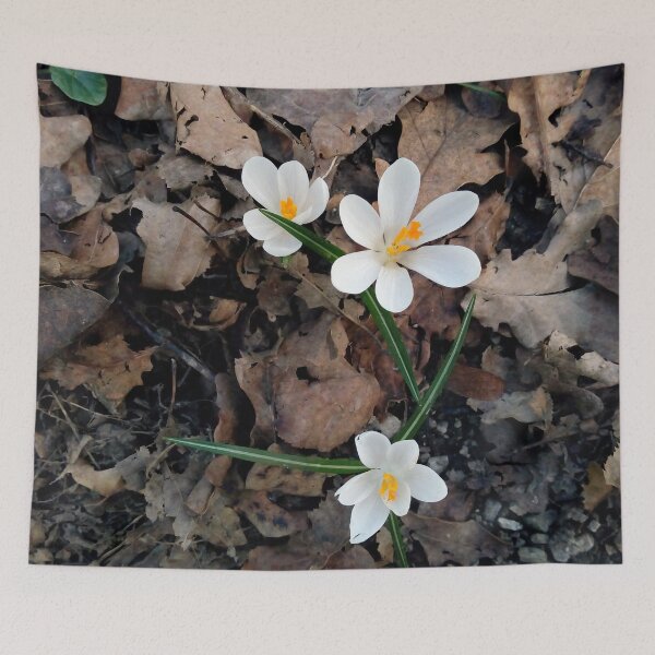 Item preview, Crocus flower field 18 original artwork designed and sold by paragonDesign28.