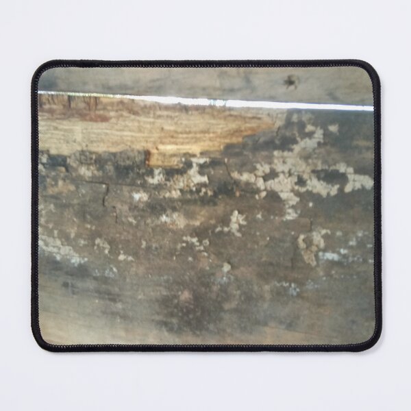 Item preview, Hidden behind wooden scolded tempers, brash. designed and sold by John Tyler Mounce.