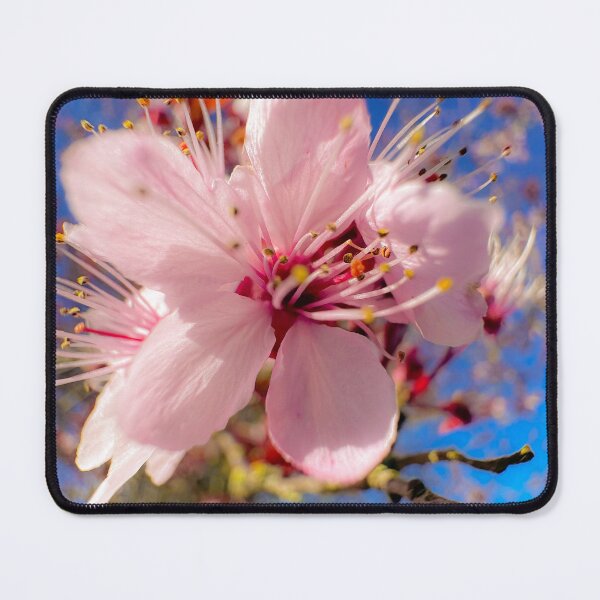 Item preview, Blossom with blur effect  designed and sold by GingaDesigns.