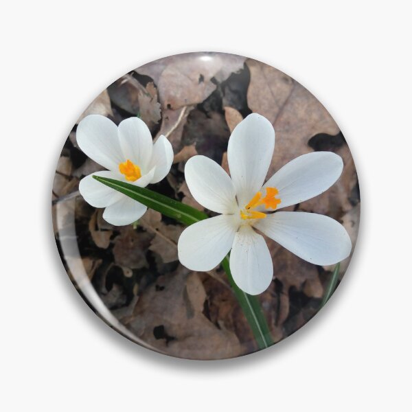 Item preview, Crocus flower field 19 original artwork designed and sold by paragonDesign28.