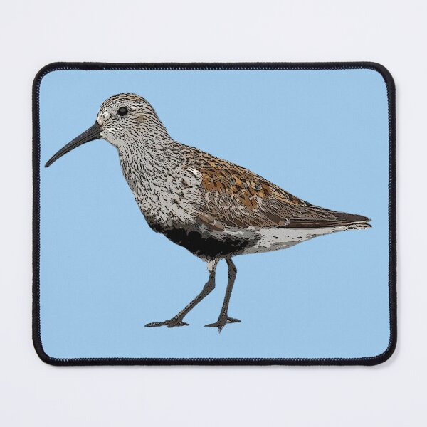 Item preview, Dunlin Color Design  designed and sold by designsasstultd.