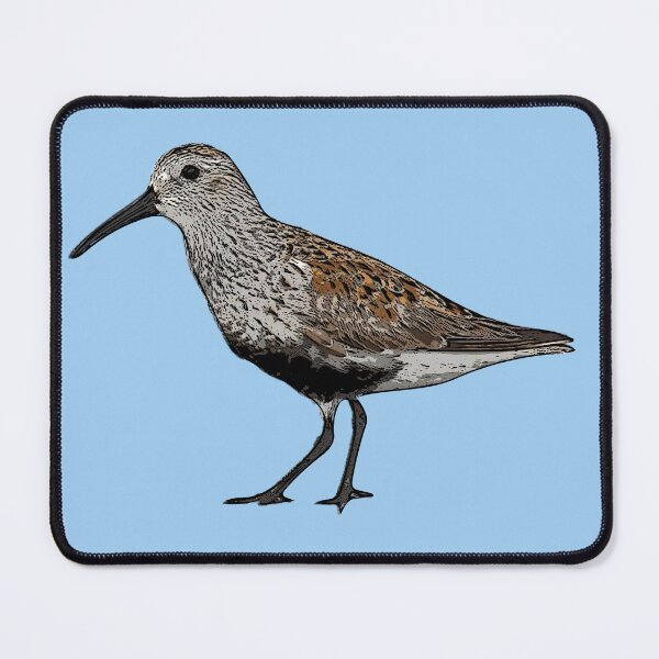 Item preview, Dunlin Black Alternate Design designed and sold by designsasstultd.