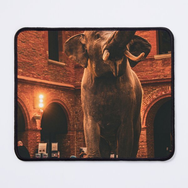 Item preview, Museum photo designed and sold by Excelsior--.