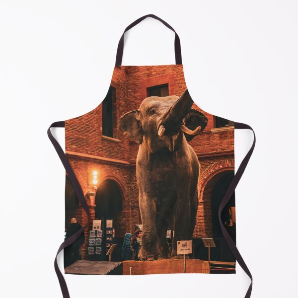 Item preview, Museum photo designed and sold by Excelsior--.