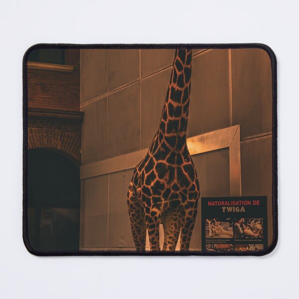 Item preview, Museum photography designed and sold by Excelsior--.