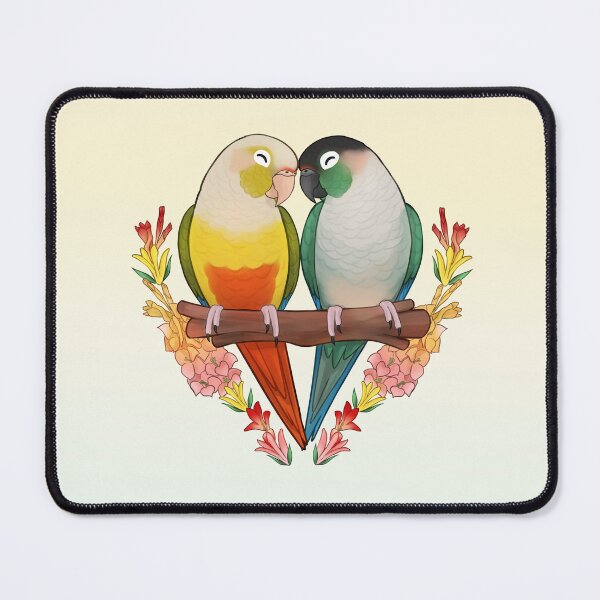 Item preview, Cute Conures designed and sold by meruesan.