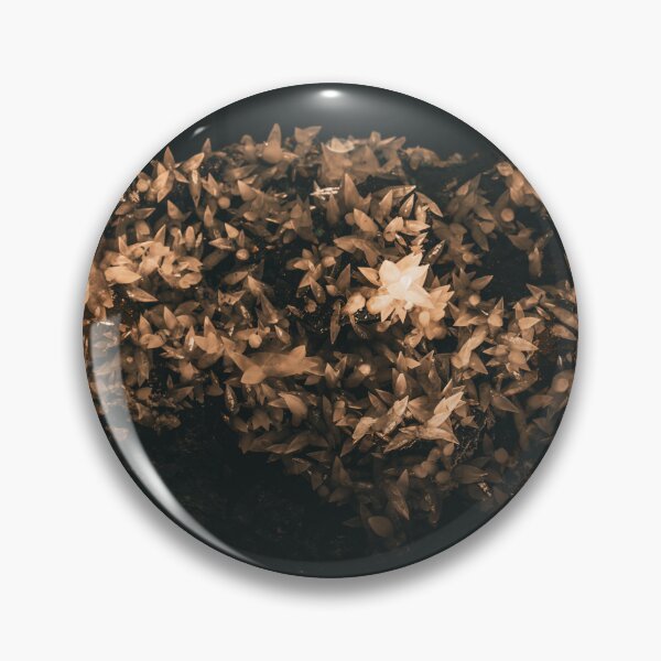 Item preview, Museum Photo designed and sold by Excelsior--.