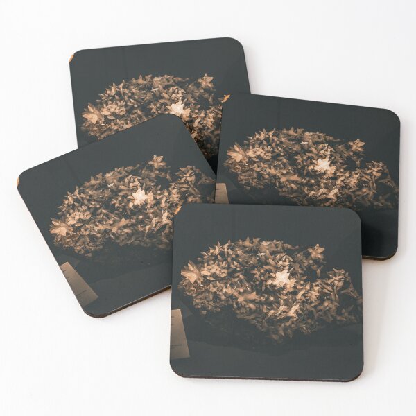 Item preview, Museum Photo designed and sold by Excelsior--.