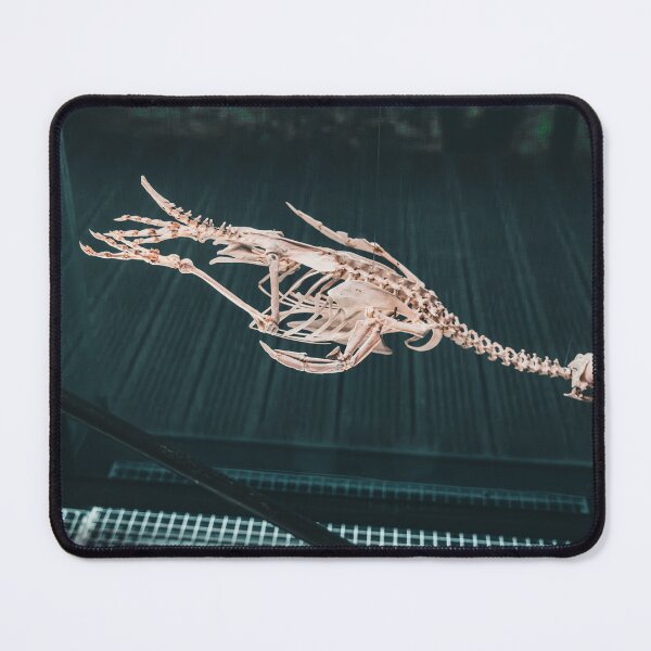 Item preview, Museum Photo designed and sold by Excelsior--.