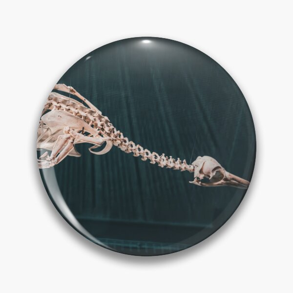 Item preview, Museum Photo designed and sold by Excelsior--.
