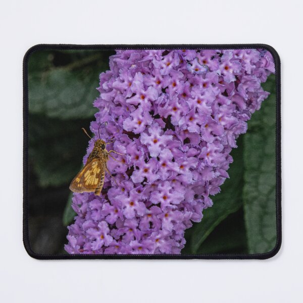 Item preview, Yellowpatch Skipper on Butterfly Bush designed and sold by Gerda Grice Photography.