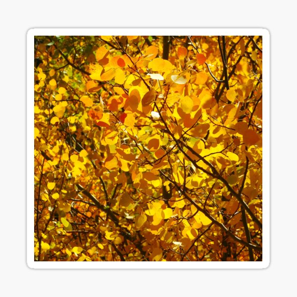Item preview, Golden Aspen Leaves designed and sold by Maridyk4967.