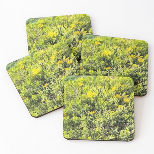 Item preview, yellow flower from ornamental plant designed and sold by sadeek1021953Ss.