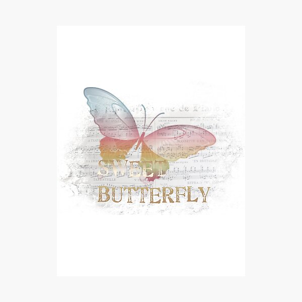 Butterfly Photographic Print