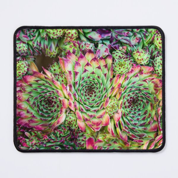 Item preview, Fractals designed and sold by DJChizzlesworth.