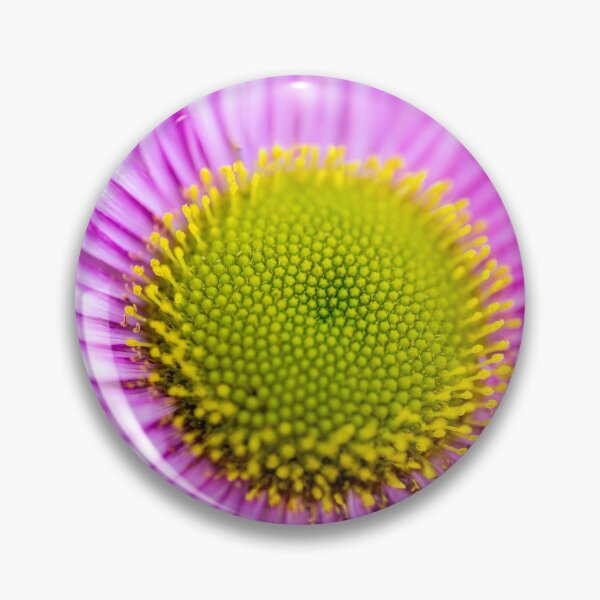 Item preview, Spring Colour designed and sold by DJChizzlesworth.
