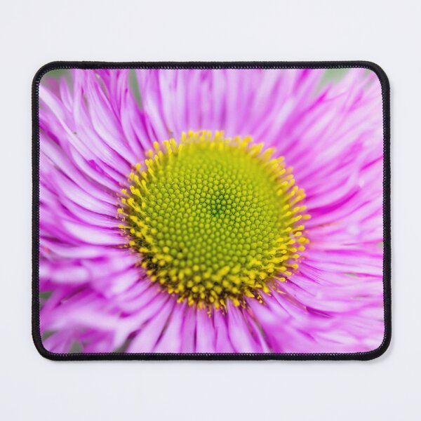 Item preview, Spring Colour designed and sold by DJChizzlesworth.