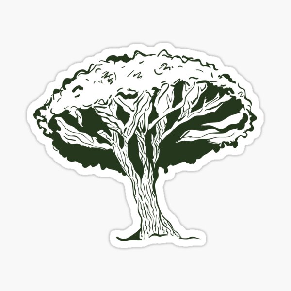 Yemen's Socotra dragon blood tree Sticker
