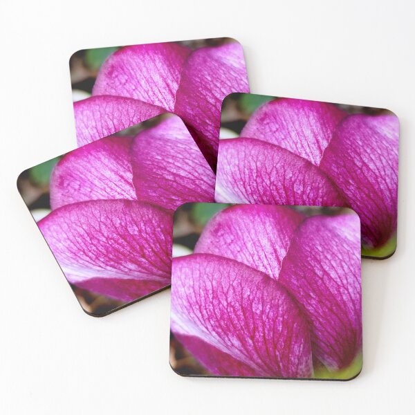 Item preview, Hellebore Petals designed and sold by bjtomiko.