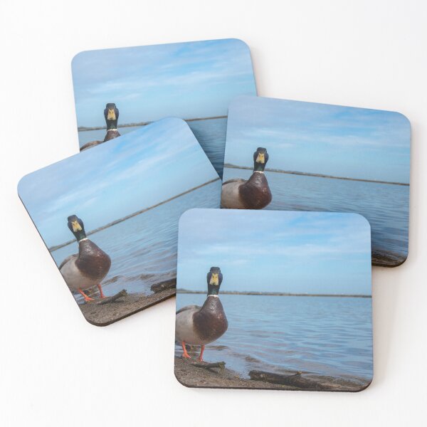 Item preview, Duck on the Shore of Lake Ontario designed and sold by jrtwynam.