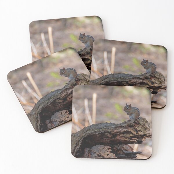 Item preview, Chipmunk Poses on an Old Log designed and sold by jrtwynam.