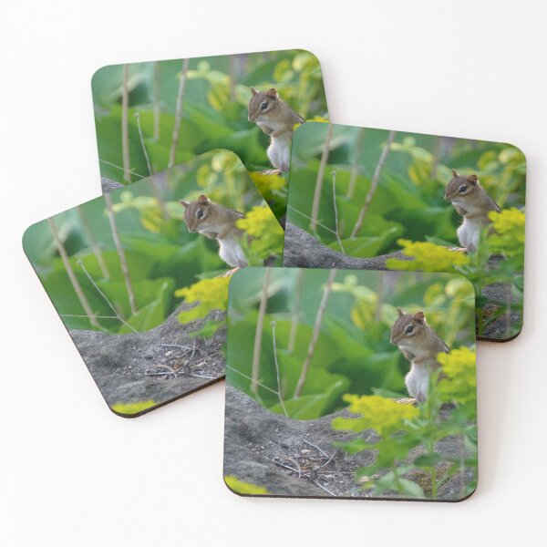 Item preview, Chipmunk Behind the Foliage designed and sold by jrtwynam.