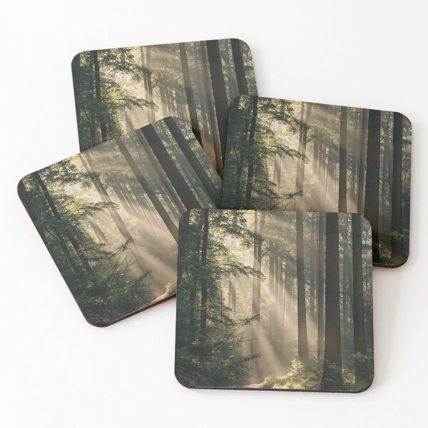 Item preview, A path through the forest in Klamath Oregon designed and sold by Steven  Sandner.