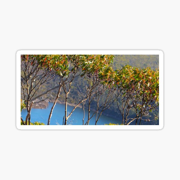 Item preview, The great Bush designed and sold by ExpressMagic.