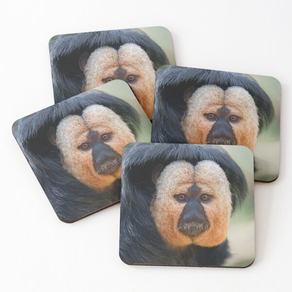 Item preview, White-faced Saki designed and sold by rawshutterbug.
