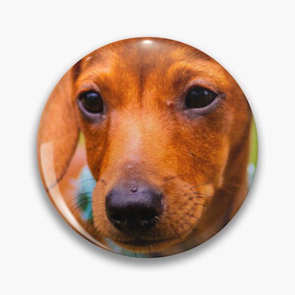 Item preview, daschund designed and sold by william672.