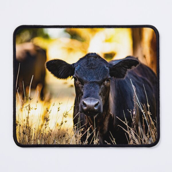 Item preview, cow in a field  designed and sold by william672.