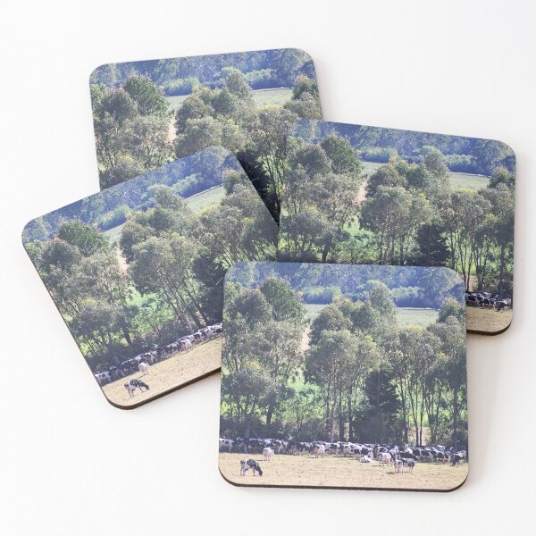 Item preview, Holstein Cows Are Milked Twice Daily designed and sold by Joy Watson - Natural Light Photography .