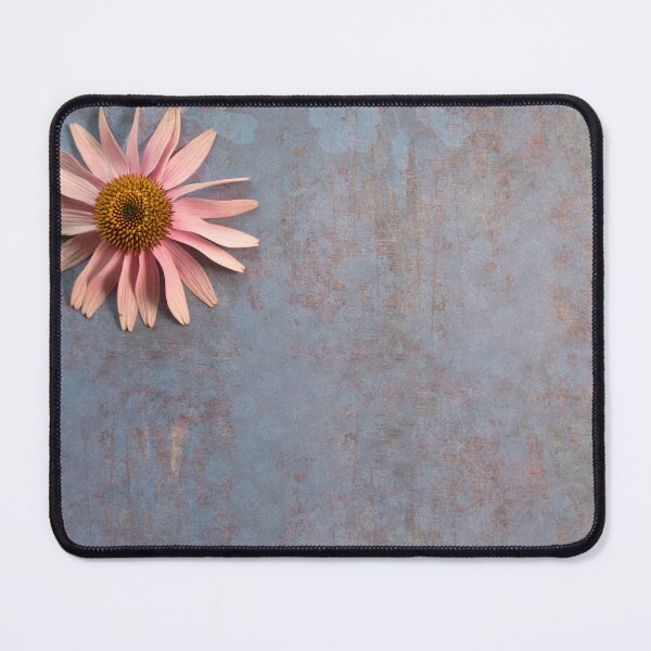 Item preview, Lay flat image of Purple Coneflower on patterned paper with room left to add a message. designed and sold by dawn2dawn.