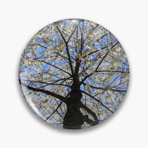 Item preview, White cherry tree from a worm's eye view in the backlight, Germany designed and sold by Torsten  Krüger.
