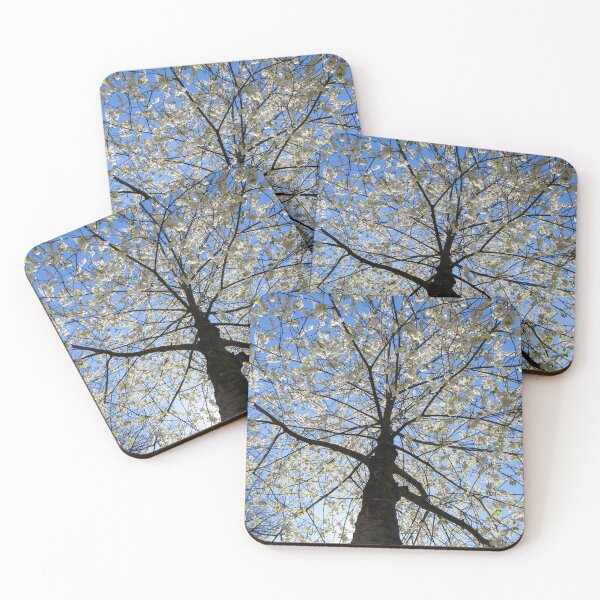 Item preview, White cherry tree from a worm's eye view in the backlight, Germany designed and sold by Torsten  Krüger.