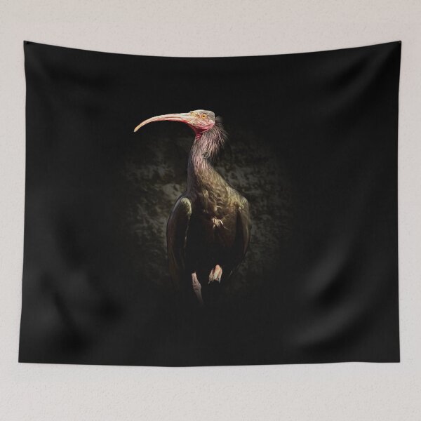 Item preview, Northern bald ibis designed and sold by Guardi71.
