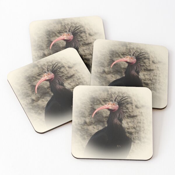 Item preview, Northern bald ibis designed and sold by Guardi71.