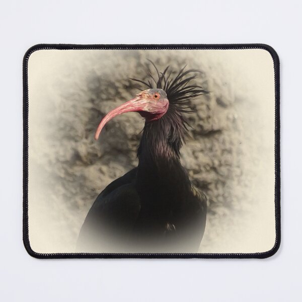 Item preview, Northern bald ibis designed and sold by Guardi71.
