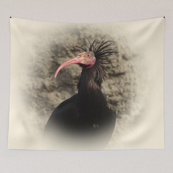Item preview, Northern bald ibis designed and sold by Guardi71.