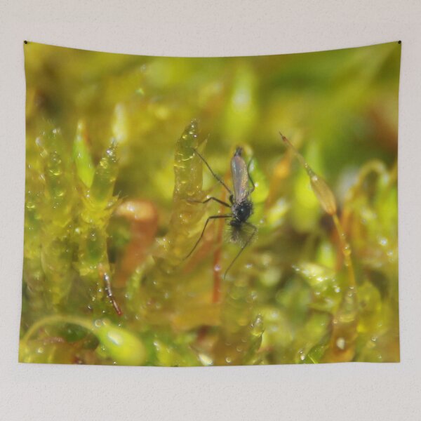 Item preview, A Strange Fly ??? designed and sold by AnnDixon.