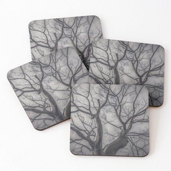 Item preview, Landscape forest ceiba tree, guayaquil, ecuador designed and sold by DFLC Prints.