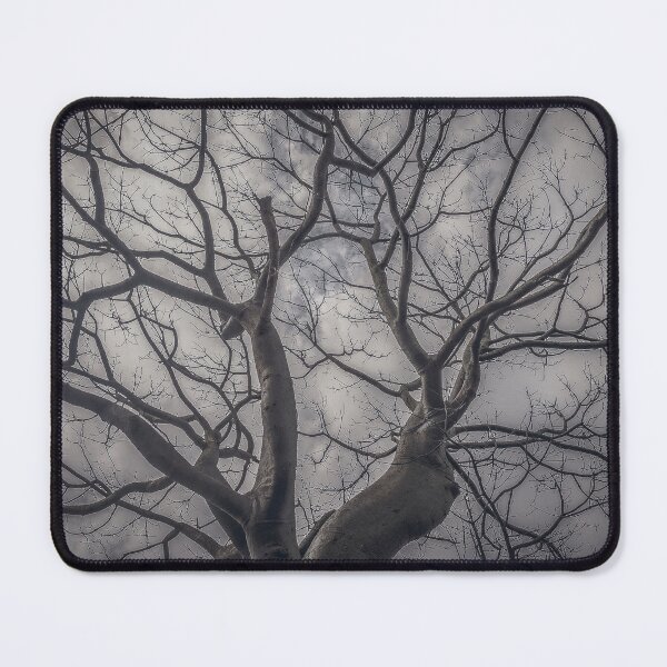 Item preview, Landscape forest ceiba tree, guayaquil, ecuador designed and sold by DFLC Prints.
