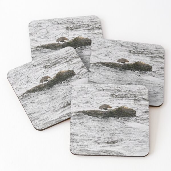 Item preview, Aah. White-throated dipper designed and sold by Jouko Lehto Photography.