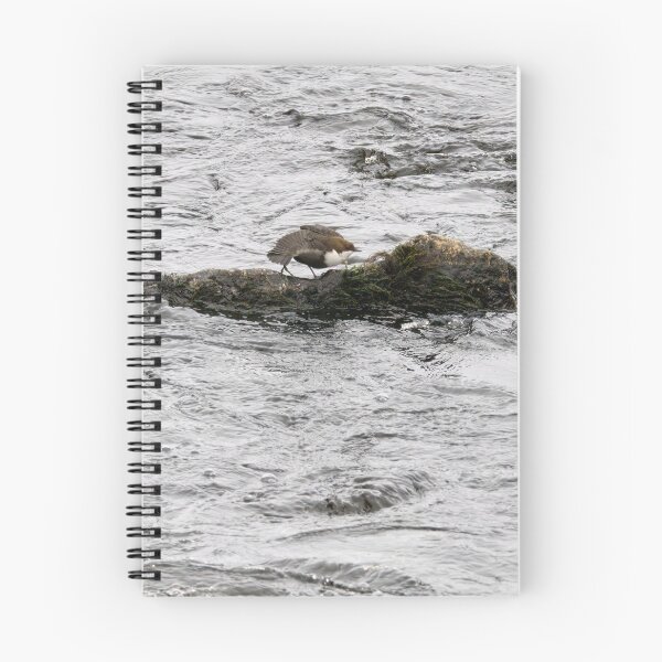 Item preview, Aah. White-throated dipper designed and sold by Jouko Lehto Photography.