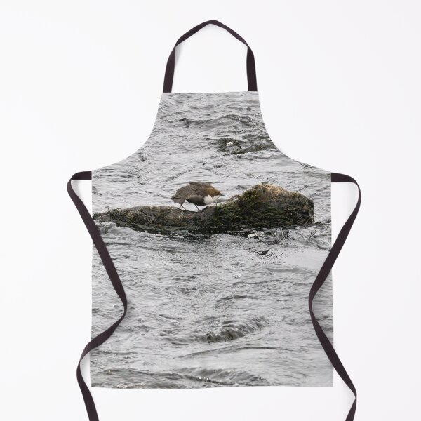 Item preview, Aah. White-throated dipper designed and sold by Jouko Lehto Photography.